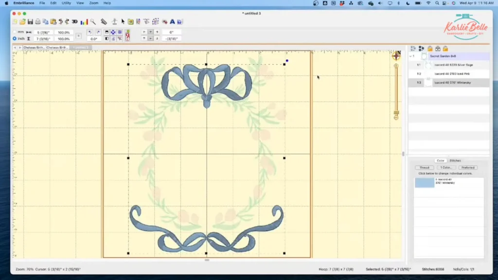 Embrilliance Tutorial step 2 Importing and Editing the Frame